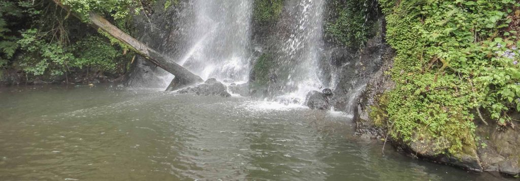Day Tour to Materuni Waterfalls