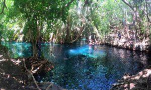 Kikuletwa Hot Volcanic Springs 1