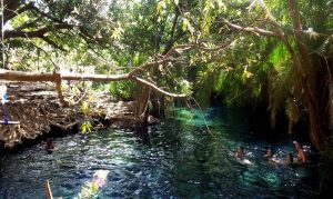 Kikuletwa Hot Volcanic Springs 2