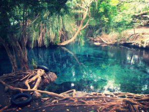 Kikuletwa Hot Volcanic Springs 3