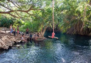 Kikuletwa Hot Volcanic Springs